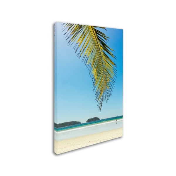 Robert Harding Picture Library 'Palm Trees 4' Canvas Art,30x47